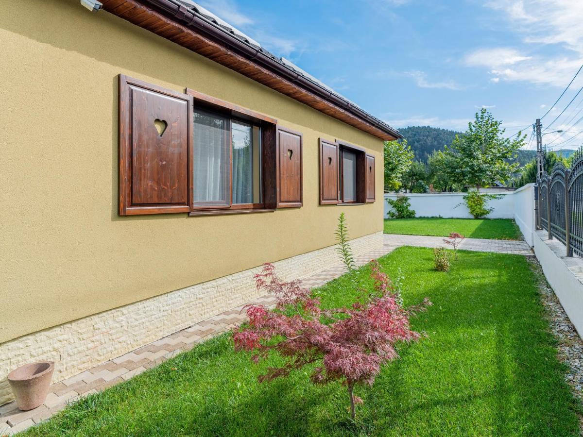 Casa Saraste Hotel Rîşnov Eksteriør billede